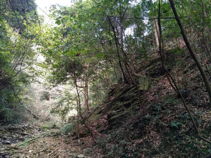 金山软件(03888.HK)1月31日耗资2000万港元回购105.4万股